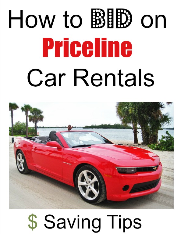 How to Bid on Priceline Car Rentals - Palm Tree Trips